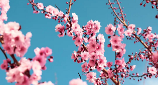 仲春季节遇见银川万通